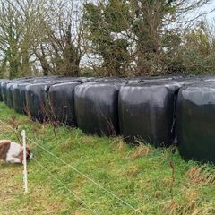 Haylage
