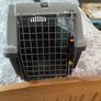 cat Image 7