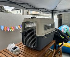 Large Dog Kennel