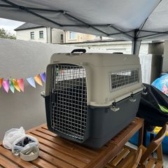 Large Dog Kennel