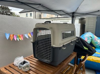 Large Dog Kennel
