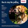 Halti Headcollar Stop Your Dog Pulling on the Lead Image 4