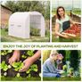 Walk-In Polytunnel Greenhouse Image 5