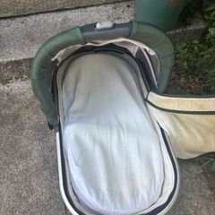 uppababy bassinet
