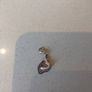 Thomas Sabo charms Image 2