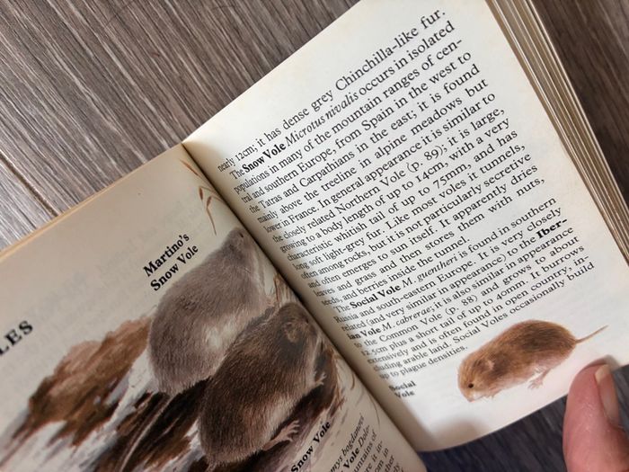Vintage Wild Animal Reference Small Pocket Size Book