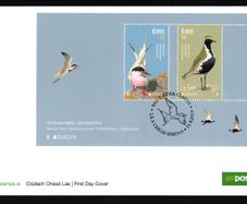 2019 Ireland Europa National Birds Commemorative Stamps Miniature Sheet An Post First Day Cover (FDC)