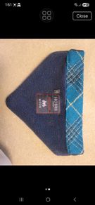 Dog Collar Neckerchief