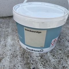 masonry paint