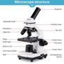 100X-2000X Microscope for Kids Students Adults, with Microscope Slides Kit, Professional Microscopes for School Laboratory Home Biological Education (FREE POSTAGE) Image 5