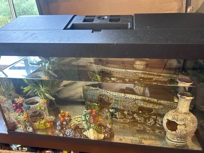 50l Fish tank and accessories