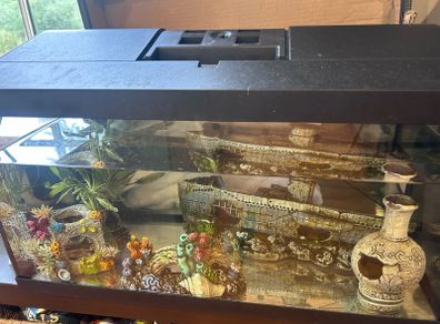 50l Fish tank and accessories