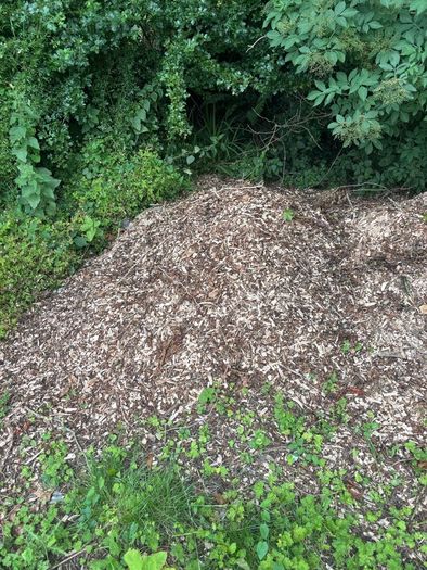Wood chipping service