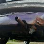 Vw beetle Image 8