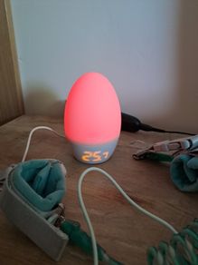 GroEgg2