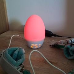 GroEgg2