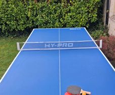 Table Tennis Table