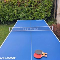 Table Tennis Table