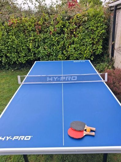 Table Tennis Table
