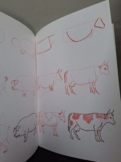 SALE! Set of 4 DRAW 50 drawing books: Dinosaurs, Flowers, Animals and Endangered Animals