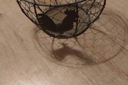 Egg basket