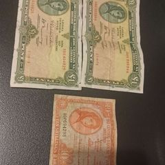 lady lavery notes