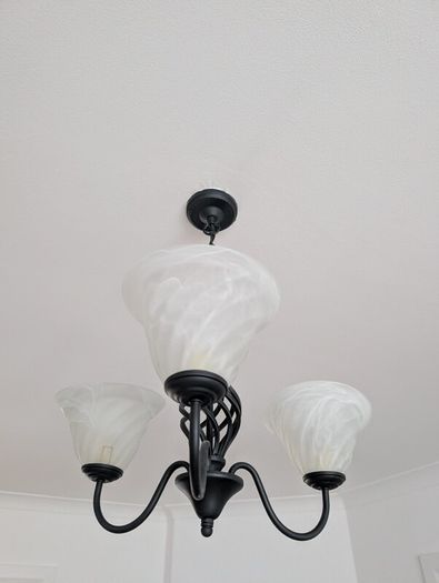 Black Ceiling Light fixture