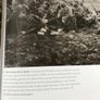 The Faces of World War1 & Illustrated History of World War 1 Image 4