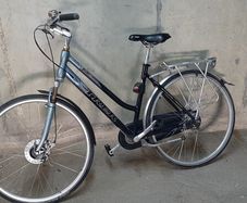 Ladies Trek Bike