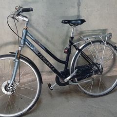 Ladies Trek Bike