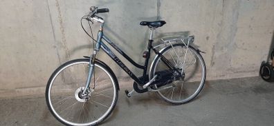 Ladies Trek Bike