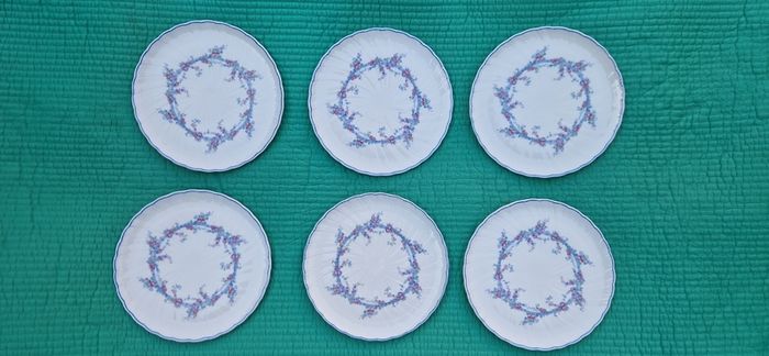 6 Stunning Bernardaud Limoges Marie Louise Plates, 20cm