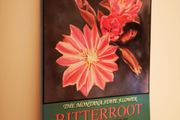 Bitterroot: Montana State Flower by Jerry De Santo