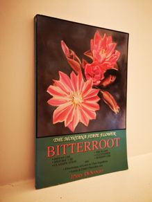 Bitterroot: Montana State Flower by Jerry De Santo