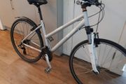 ladies  bike( can deliver)