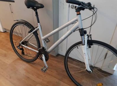 ladies  bike( can deliver)