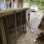 Very large dog kennel/Dog run Image 5