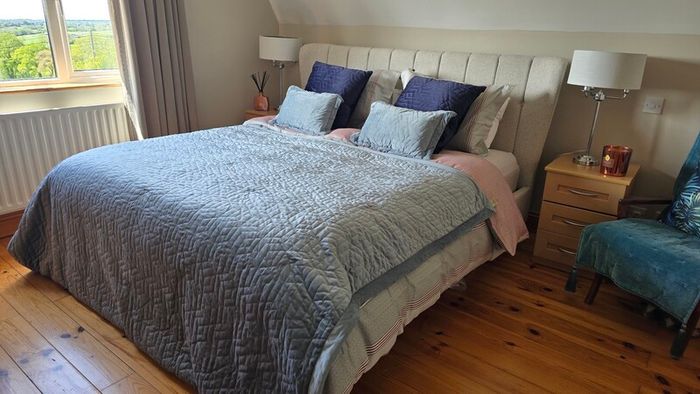 Paul Costelloe cushions and throw
