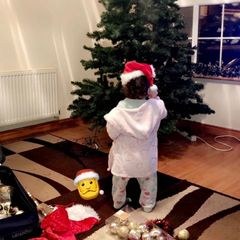 christmas tree
