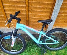 20inch kids bike