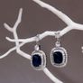 Earrings Image 2