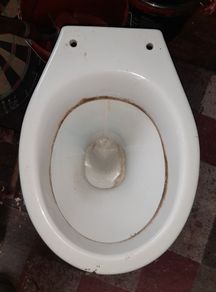 Toilet (has A Crack On It)