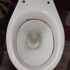 Toilet (has A Crack On It)