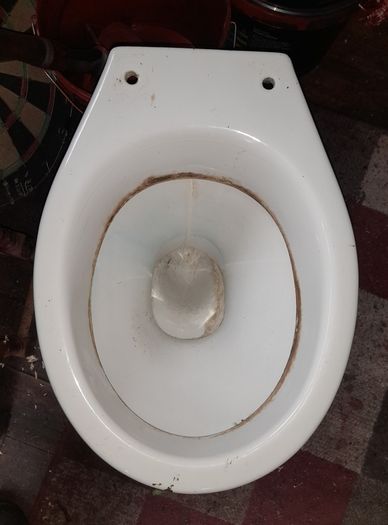 Toilet (has A Crack On It)
