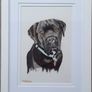 Custom Pet Bespoke Portraits Image 4