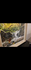 paintings