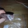 Old Vintage Chisel - Solid and sturdy Image 5
