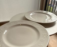 Dinner Plate ( Set of 2 )