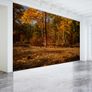 Non-woven Wall Mural / Photo Wallpaper Image 6