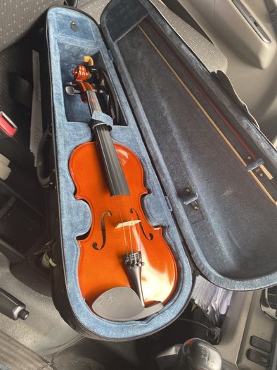 violin